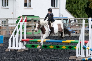 Class 4 - Fences 2'3 to 2'6